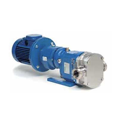 Series BE Motorized Pump