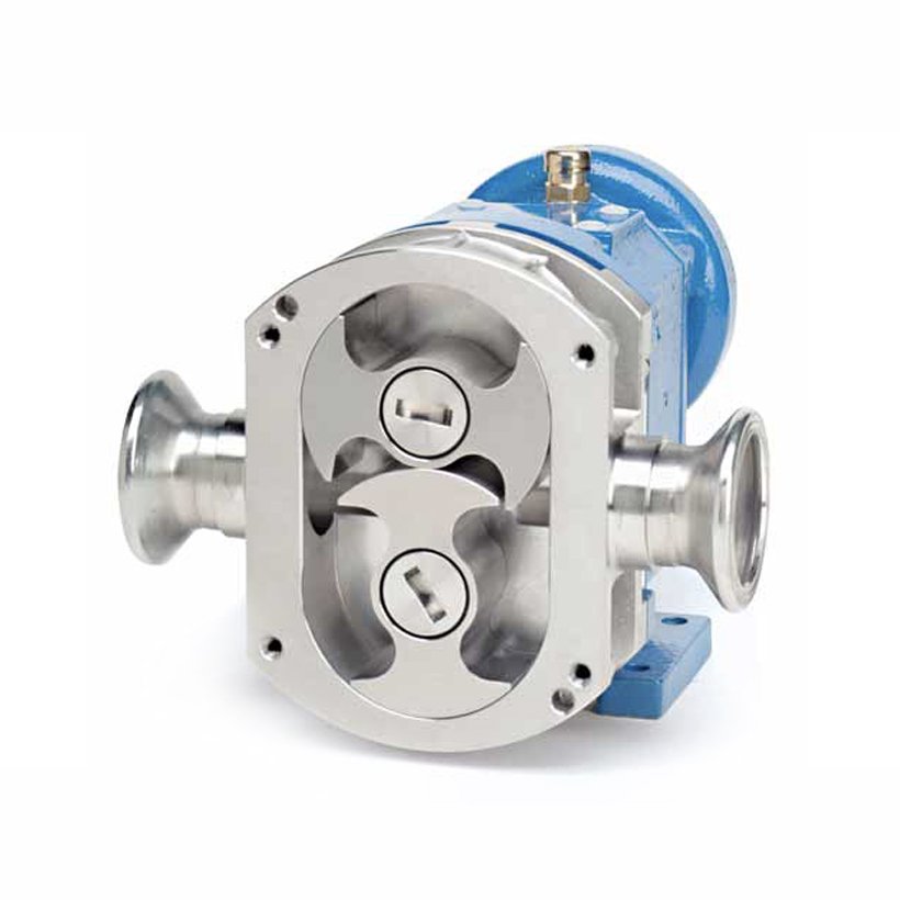 Series BE Standard Execution Pump